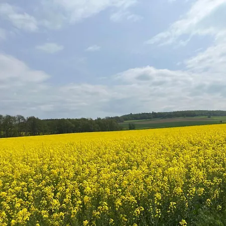 펜션 Ferienwohnpark Silbersee By Interhome Frielendorf